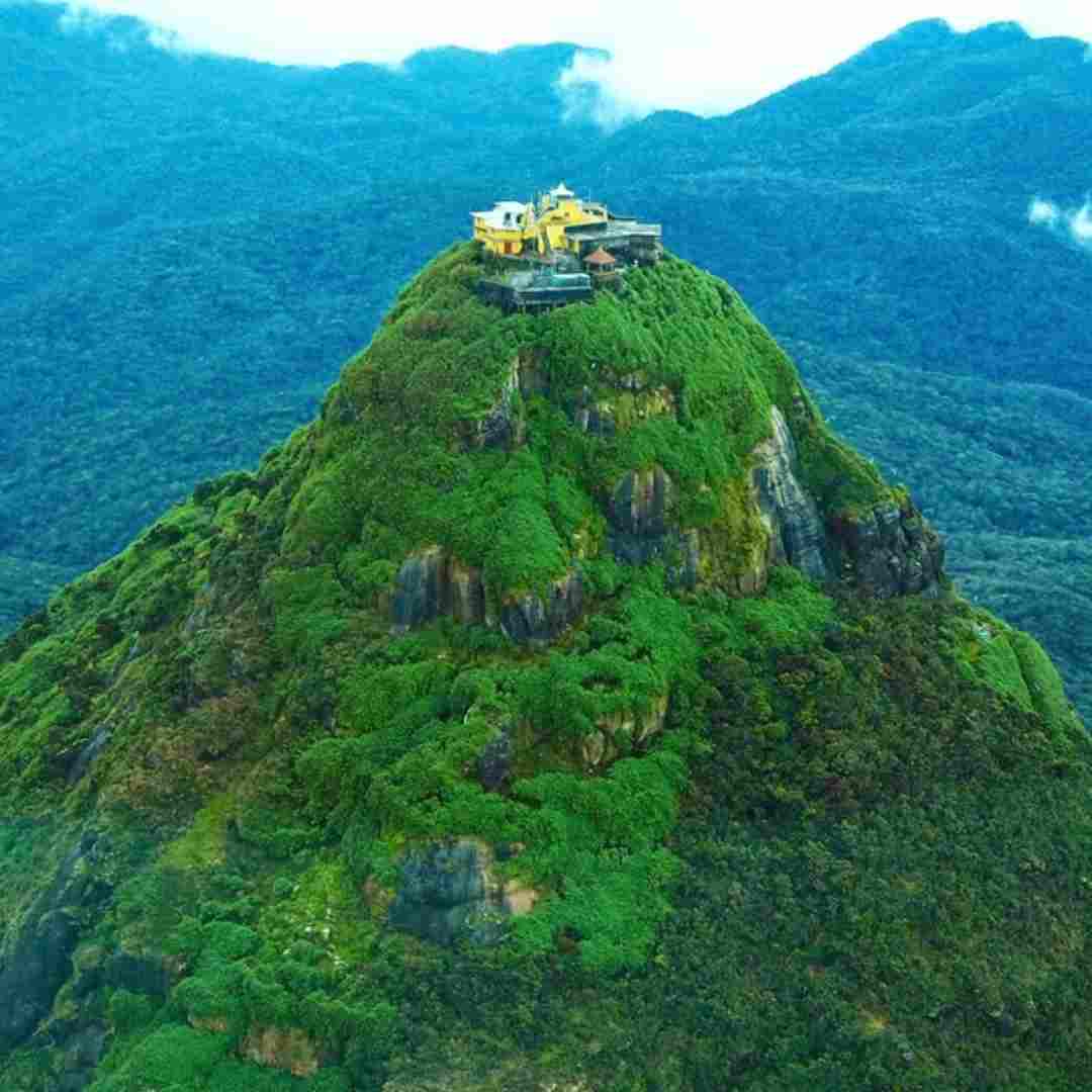 adamspeak1 (1)